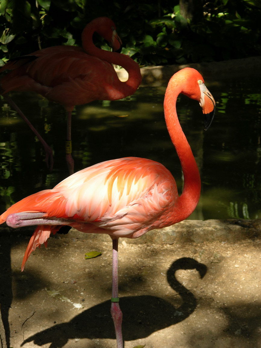 Parque xcaret borry 0002