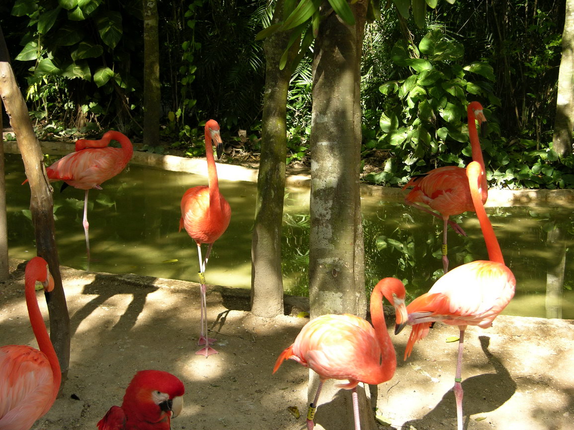 Parque xcaret borry 0003