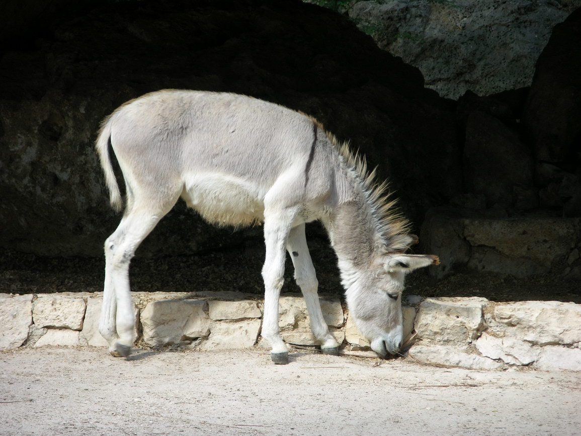 Parque xcaret borry 0004