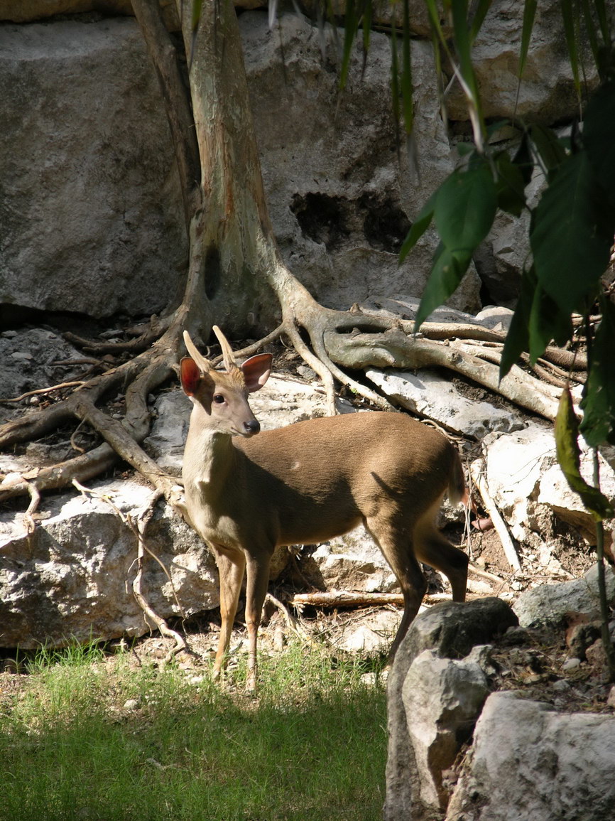 Parque xcaret borry 0005