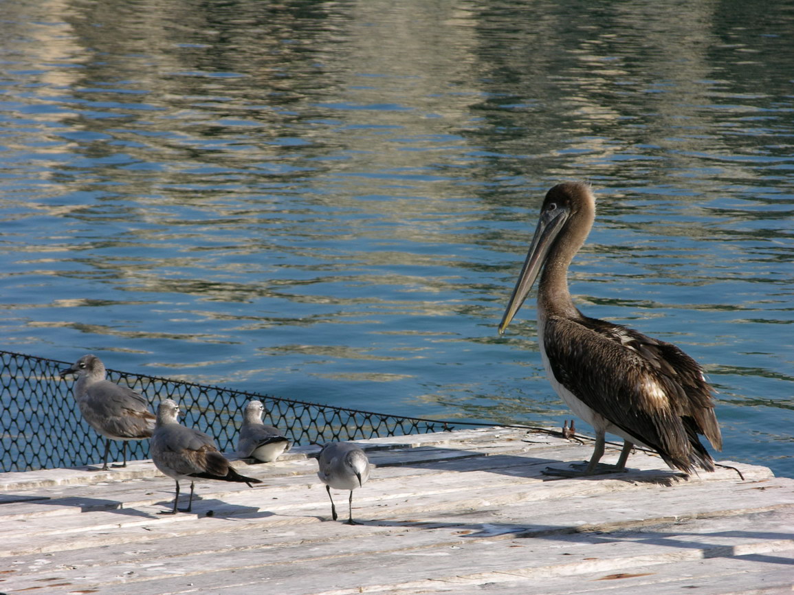Parque xcaret borry 0007