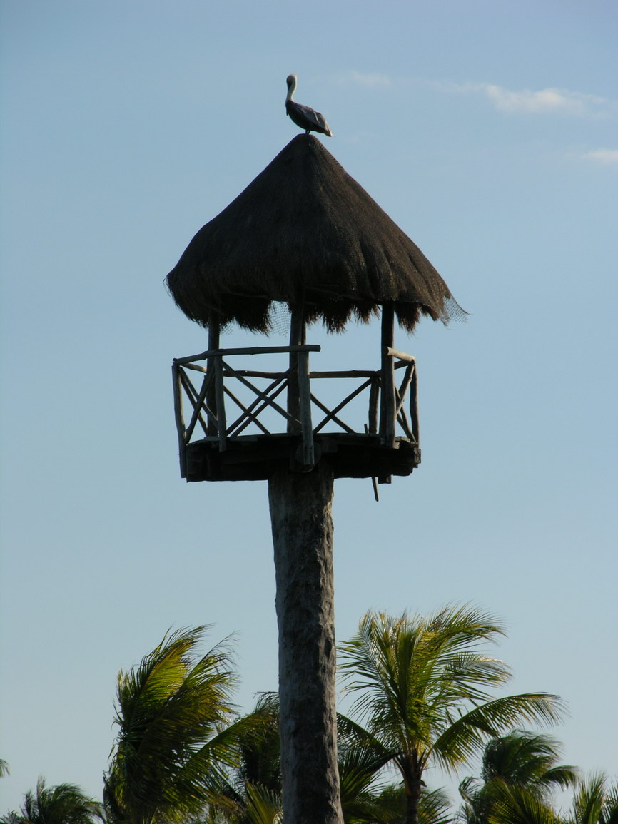 Parque xcaret borry 0011