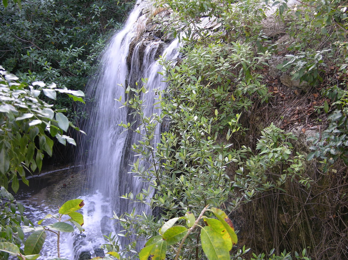 Parque xcaret borry 0012