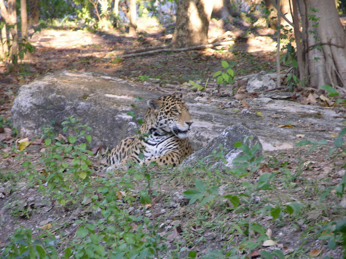 Parque xcaret borry 0013