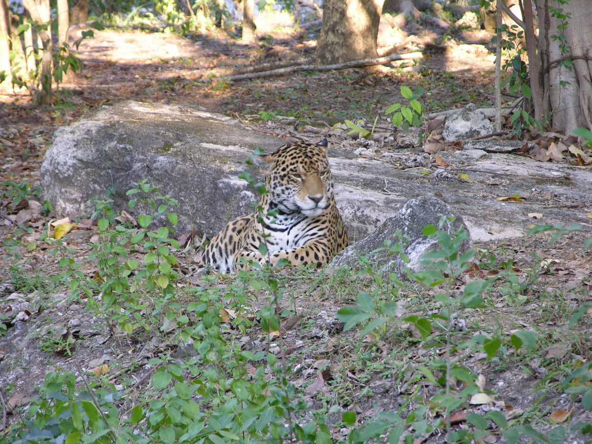 Parque xcaret borry 0014