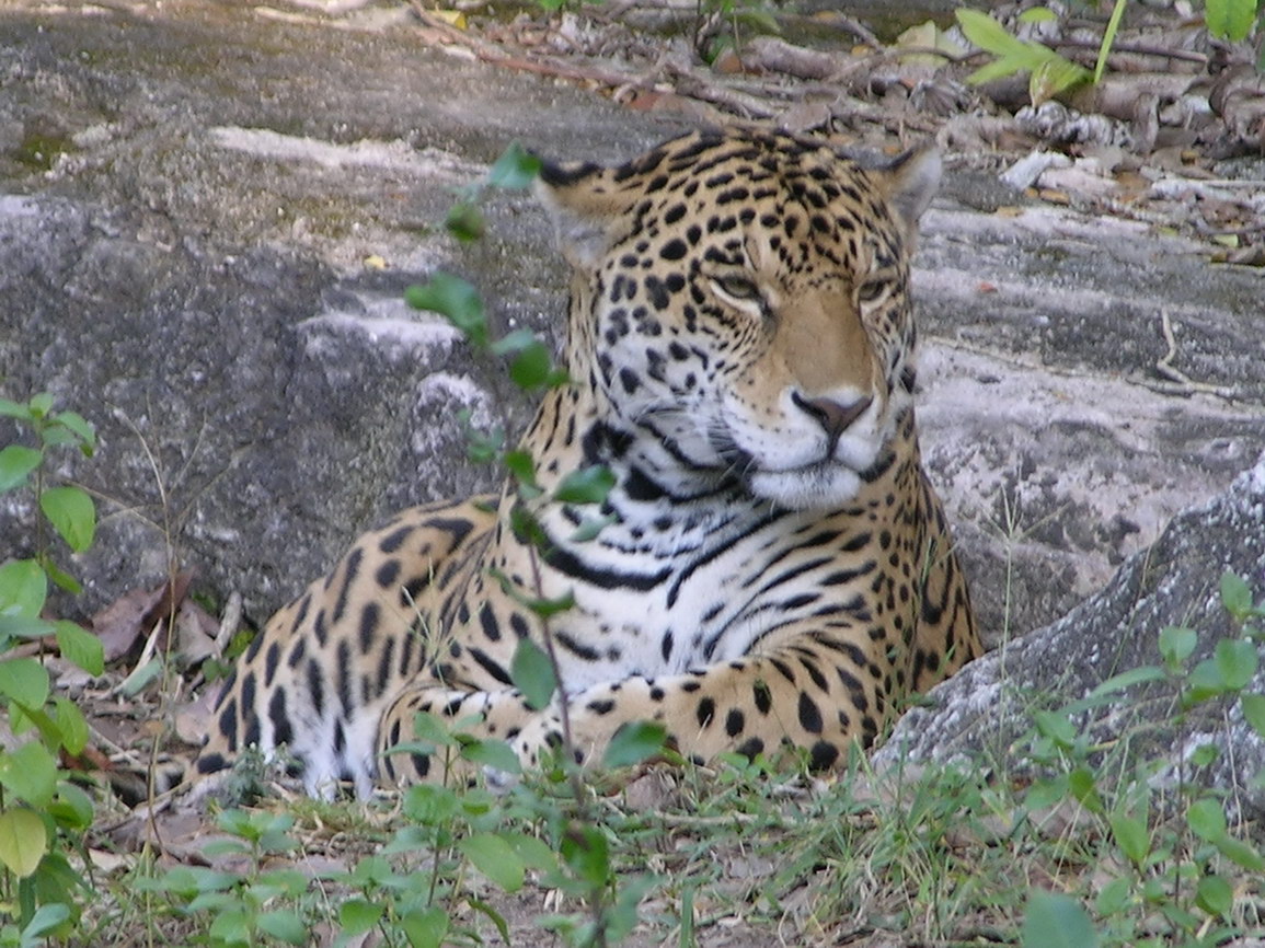 Parque xcaret borry 0015