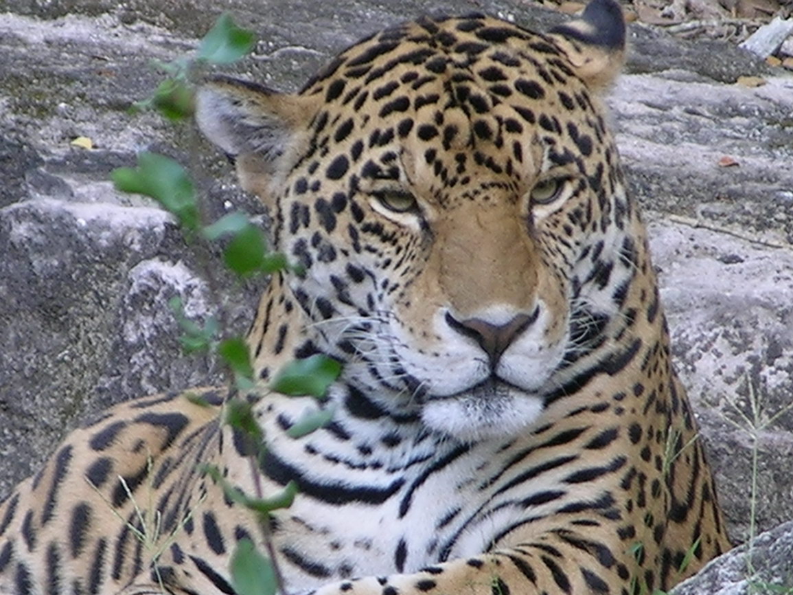 Parque xcaret borry 0017