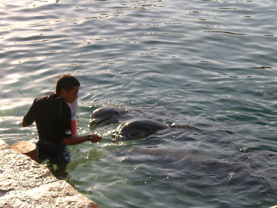 Parque xcaret borry 0019