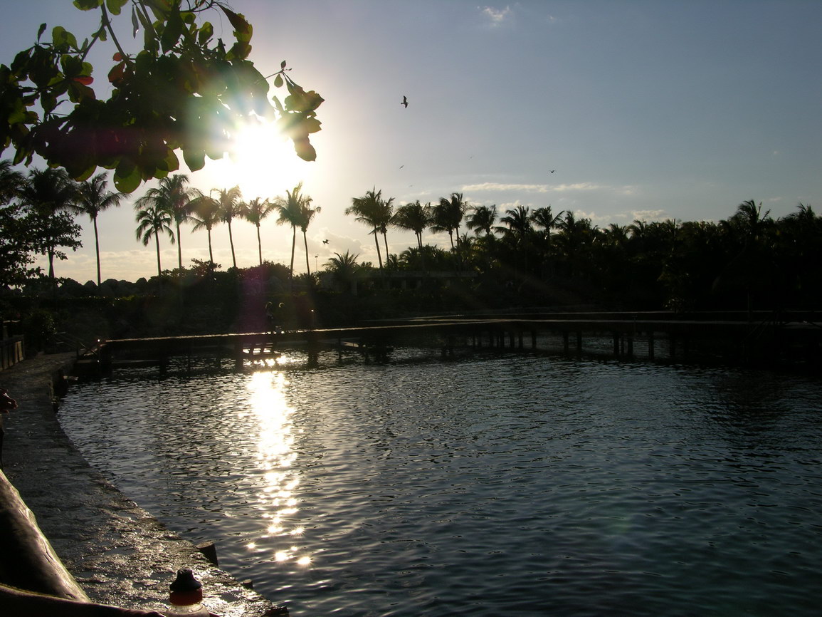 Parque xcaret borry 0021